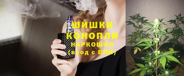 сатива Аркадак