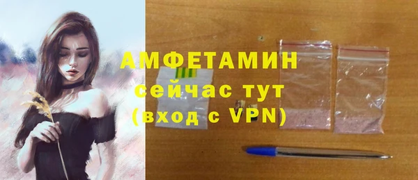 сатива Аркадак