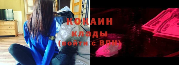 сатива Аркадак